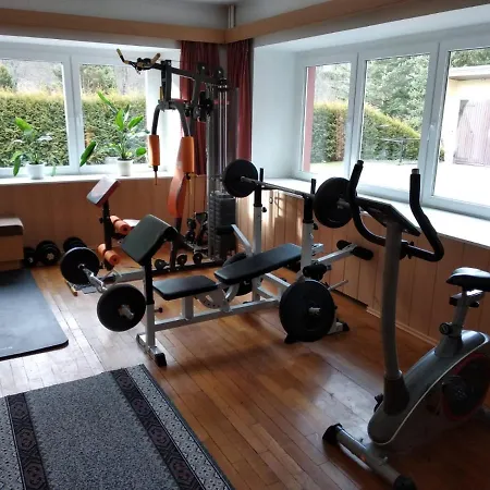 Haus Wiesenbaude Апартаменты