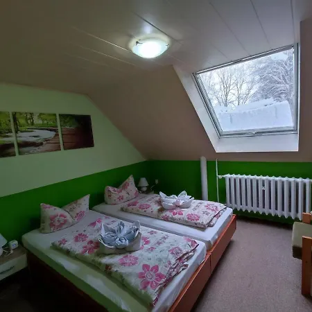 Апартаменты Haus Wiesenbaude Беренштайн